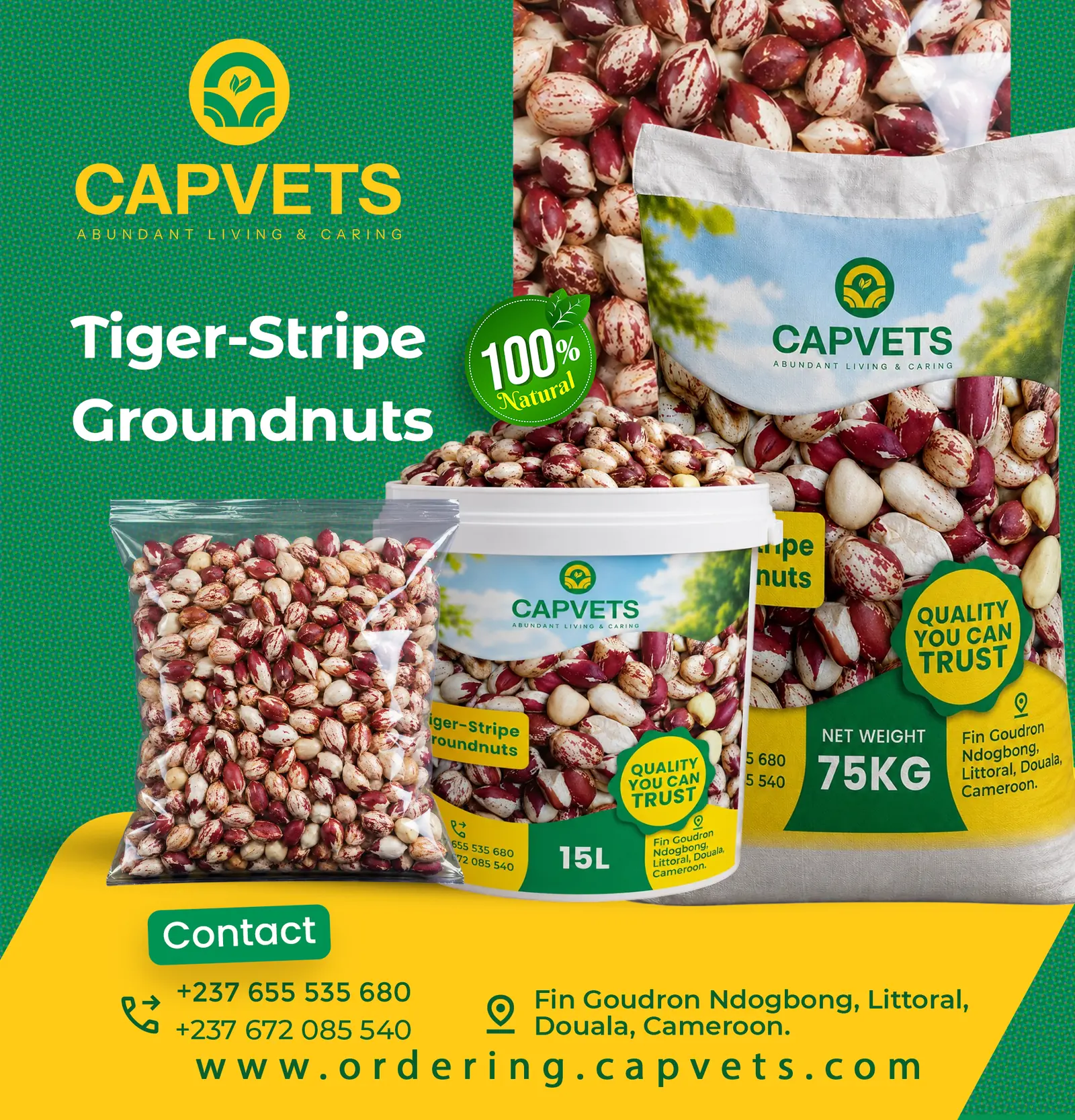 Tiger-Striped Groundnuts