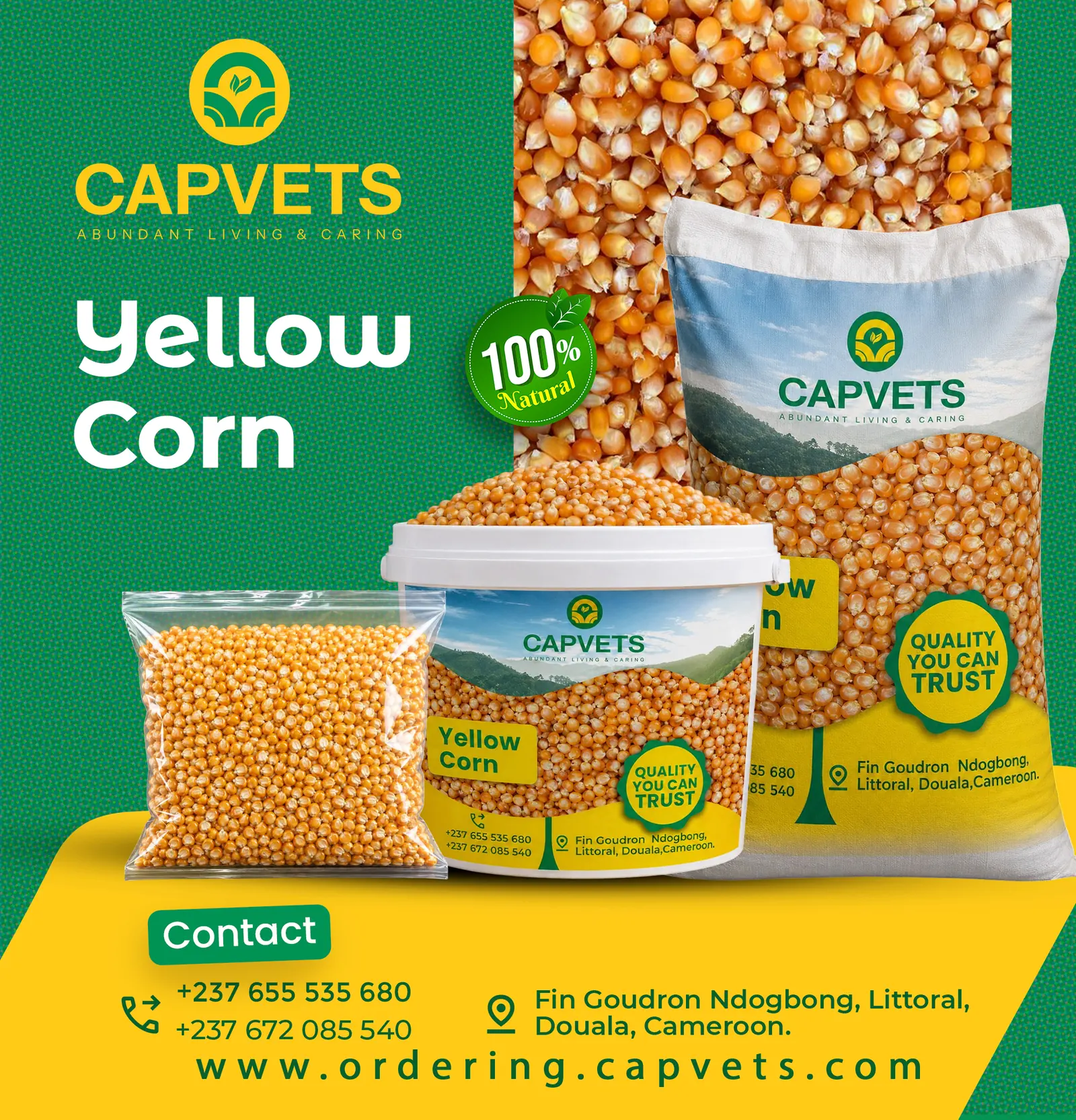 Yellow Corn